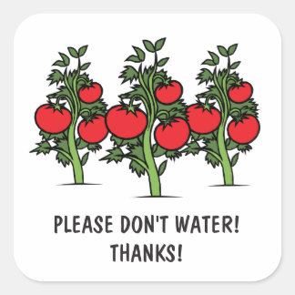 No riegue por favor a los pegatinas - tomates