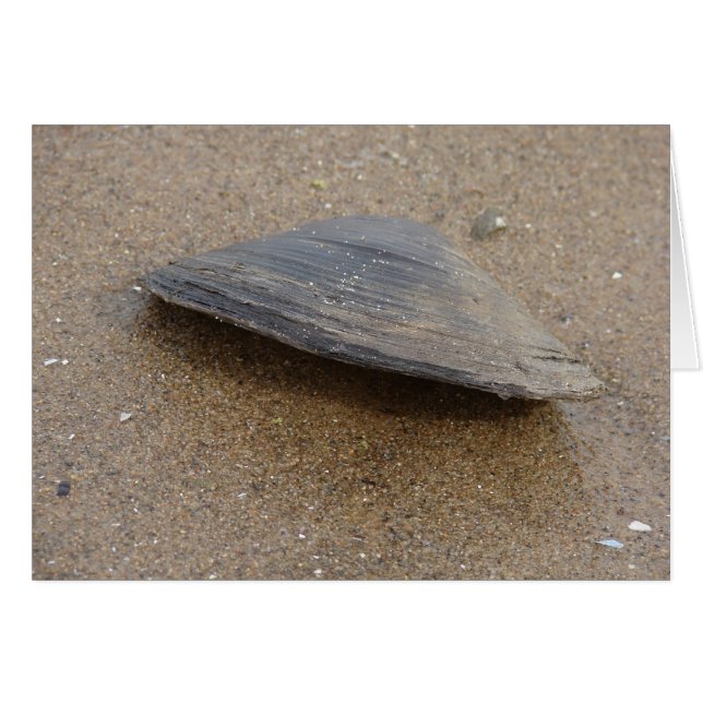 No se alce (Anverso (Horizontal))