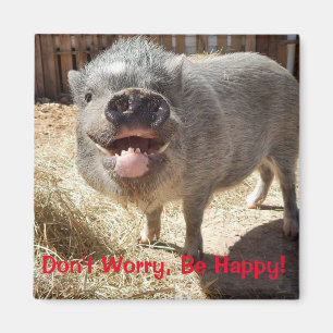 No se preocupe, sea feliz, imán cuadrado del cerd