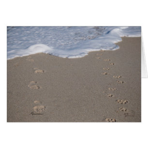 No se puede ahorrar tiempo. Gastar sabiamente