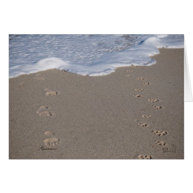 No se puede ahorrar tiempo. Gastar sabiamente (Anverso (Horizontal))