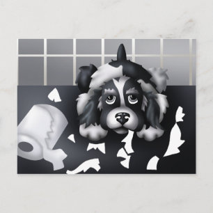 No se puede probar nada: Postal