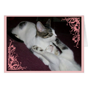 No sea un extranjero