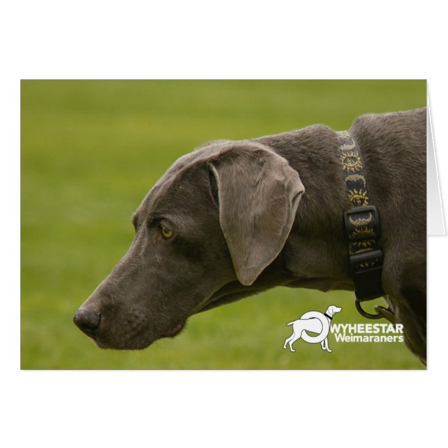 No seas triste (Anverso (Horizontal))