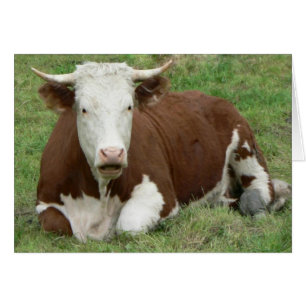 No tengas una tarjeta de vaca