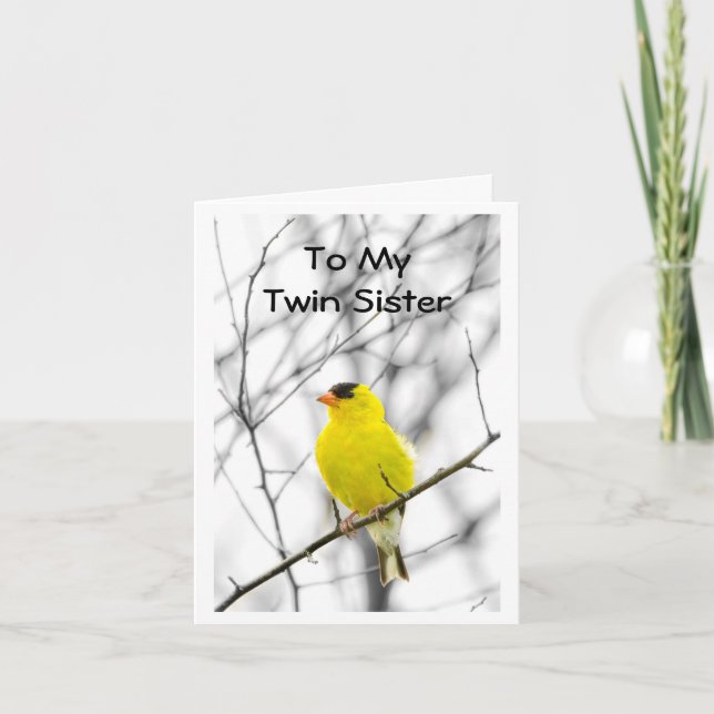 NO TUITEAR UNA TARJETA DE CUMPLEAÑOS PARA MI DOS (Anverso)