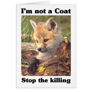 No un Coat-Fox