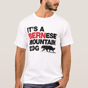 No una camisa del santo