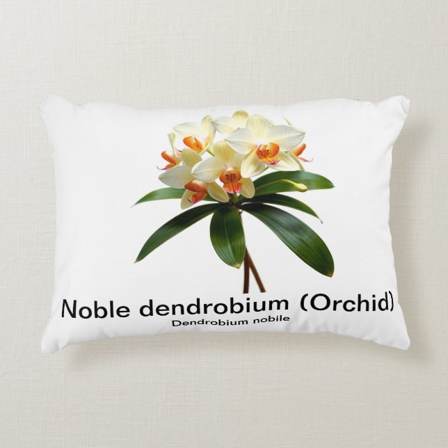 Noble orquídea de dendrobio Acento Almohada (Anverso)