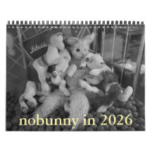 nobunny en la edición retrospectiva del calendario