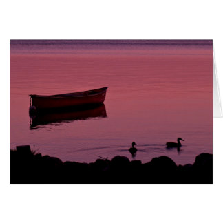 Noche de canoa