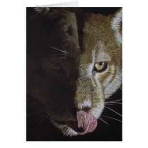 Noche de Cougar