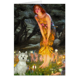 Noche de Mediano Verano - Westie (S)