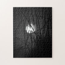 Noche en el rompecabezas del estanque