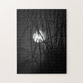 Noche en el rompecabezas del estanque