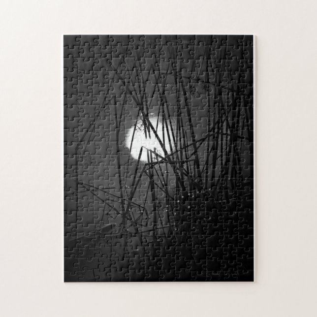 Noche en el rompecabezas del estanque (Vertical)