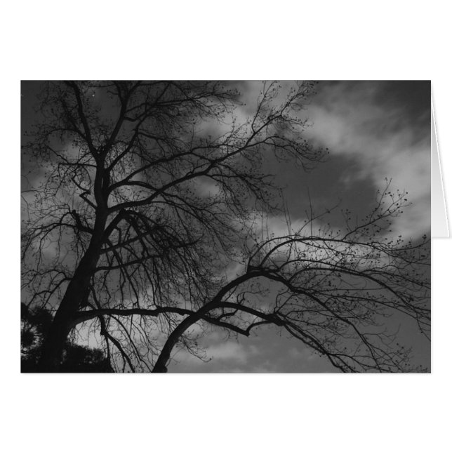 Noche misteriosa (Anverso (Horizontal))