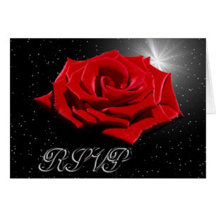 Noche romántica estrellada