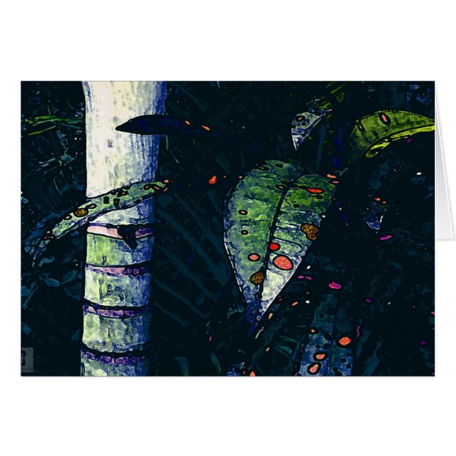 Noche tropical (Anverso (Horizontal))