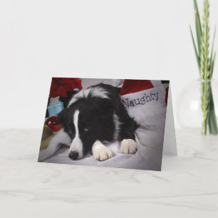 Nochebuena de navidad en el BC