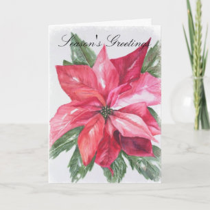 Nochebuena Roja de Navidad