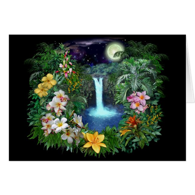 Noches Tropicales (Anverso (Horizontal))