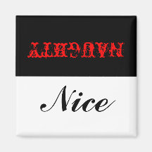 ¿Nocivo o Niza? Imán