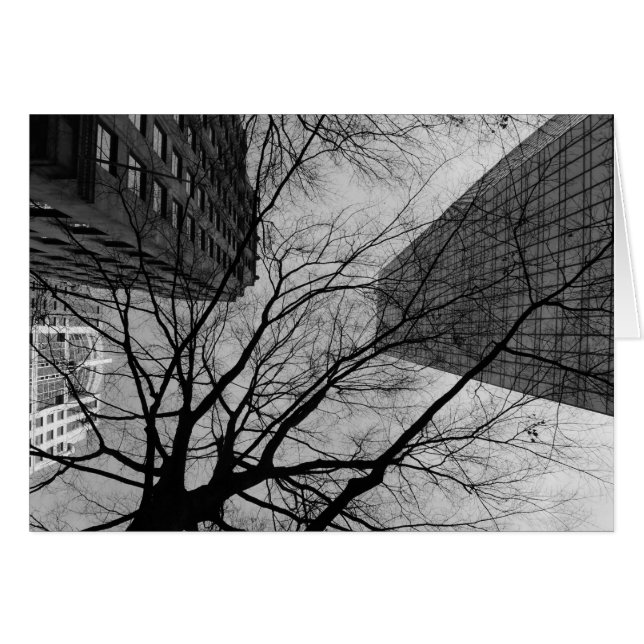 Noir City (Anverso (Horizontal))