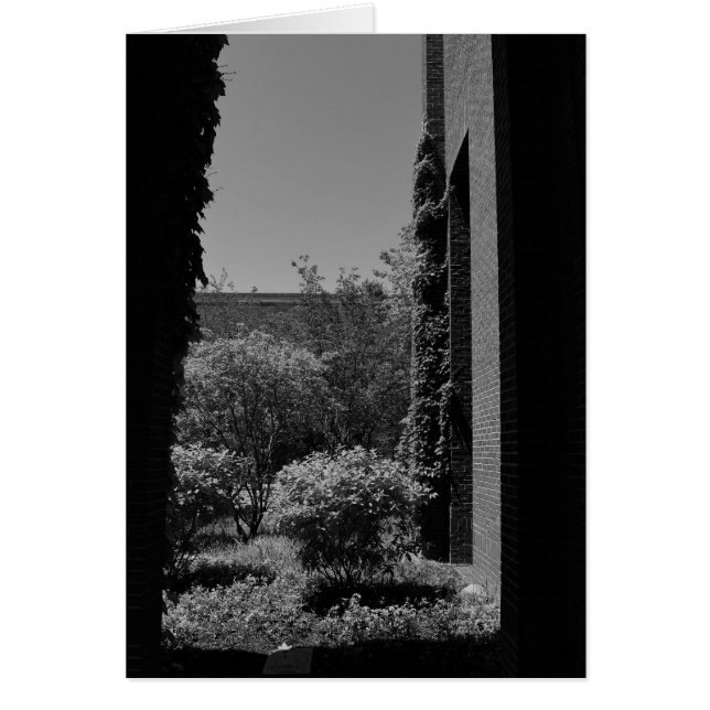 Noir City (Frente)