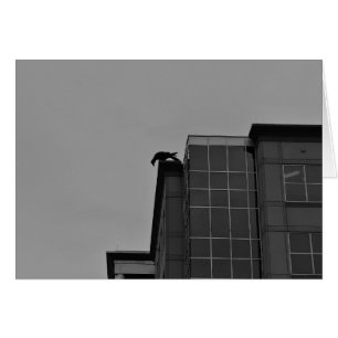 Noir City