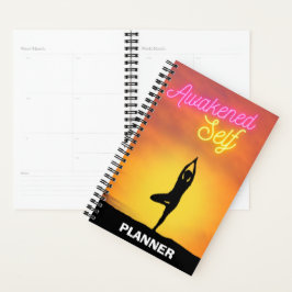 NOMBRAMIENTOS DE PLANIFICADORES (DESPERTADOS) (PEQ