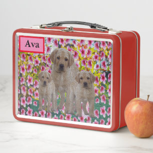 Nombre Ava Con Cachorros De Labrador, Caja De Almu