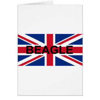 nombre de beagle england bandera del Reino Unido
