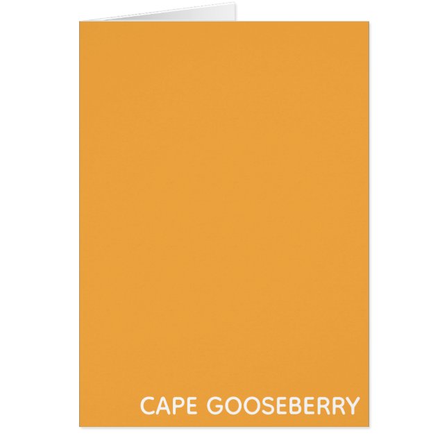 Nombre de color amarillo de Gooseberry de Cabo (Frente)