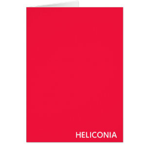 Nombre de color rojo de Heliconia