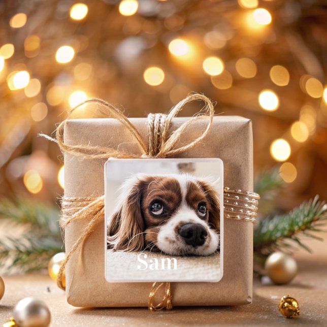 Nombre de foto mascota personalizado Pegatina cuad (Subido por el creador)