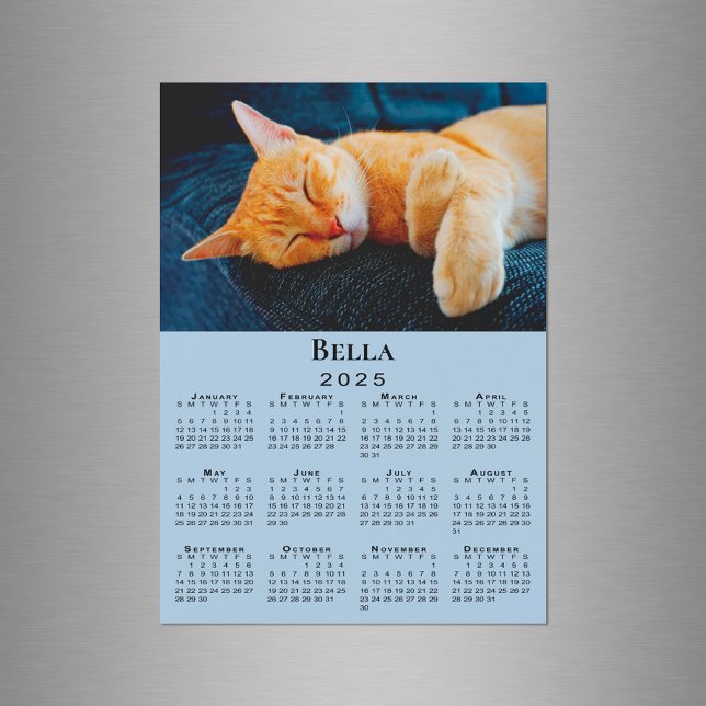 Nombre de foto personalizado imán de calendario Li (Custom Photo Name Light Blue 2025 Calendar Magnet in situ)