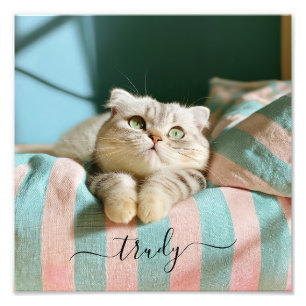 Nombre de gato lindo Foto 10x10