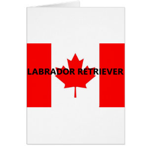 nombre de laboratorio Bandera canadiense