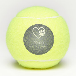 Nombre de perro gris Pelota de tenis 'lanzar, busc