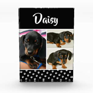 Nombre de perro Mascota de Collage de fotos lindo