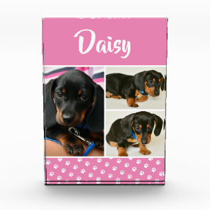 Nombre de perro Mascota de Collage de fotos lindo