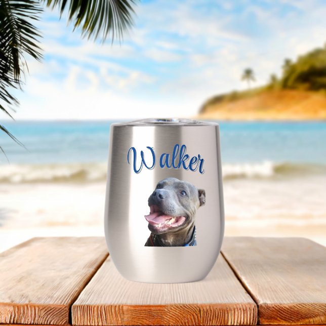 Nombre de Walker con Staffy Bull Terrier,  (Playa (girada))
