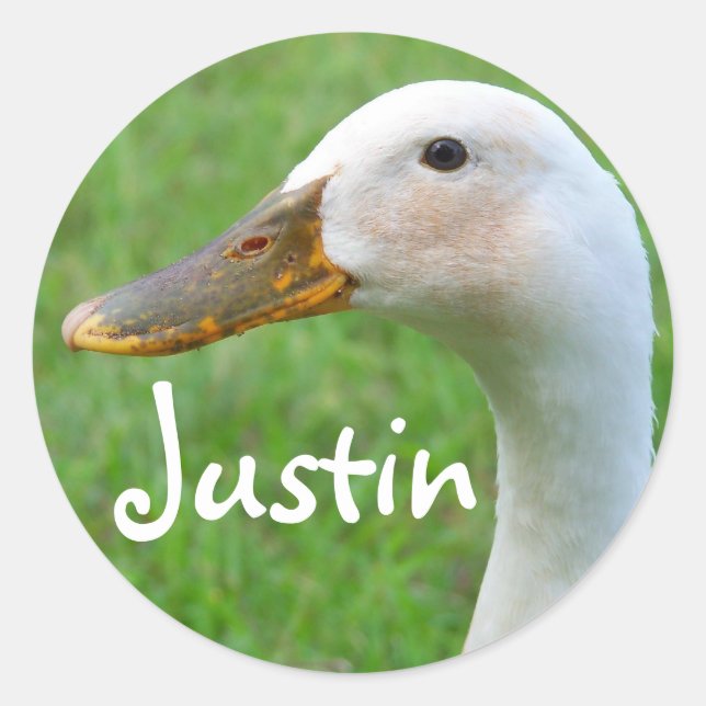 Nombre del pegatina : Justin (Anverso)