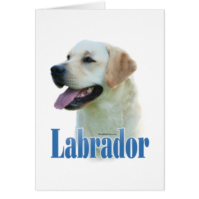 Nombre del recuperador de labrador amarillo (Frente)