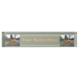 Nombre Toadstoides pequeños Personalizado macro placa de