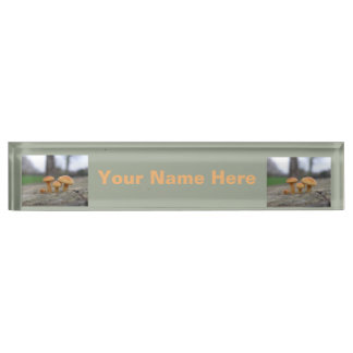 Nombre Toadstoides pequeños Personalizado macro placa de 