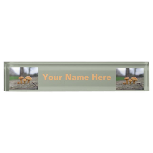 Nombre Toadstoides pequeños Personalizado macro placa de  (Anverso)
