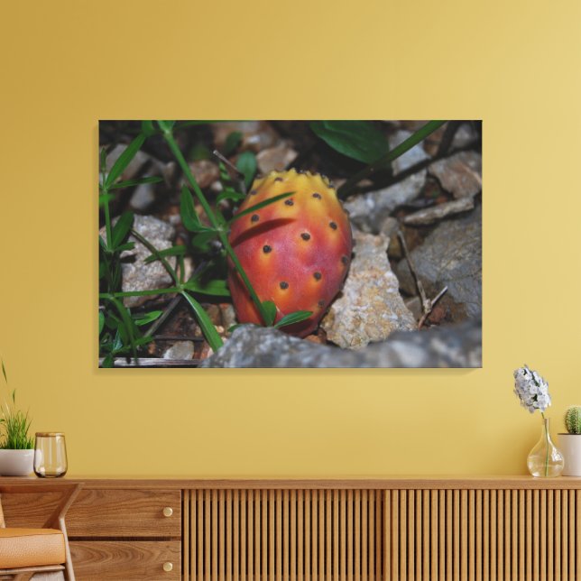 nopal sobre piedras impresión en lienzo (Insitu (Sala de estar))