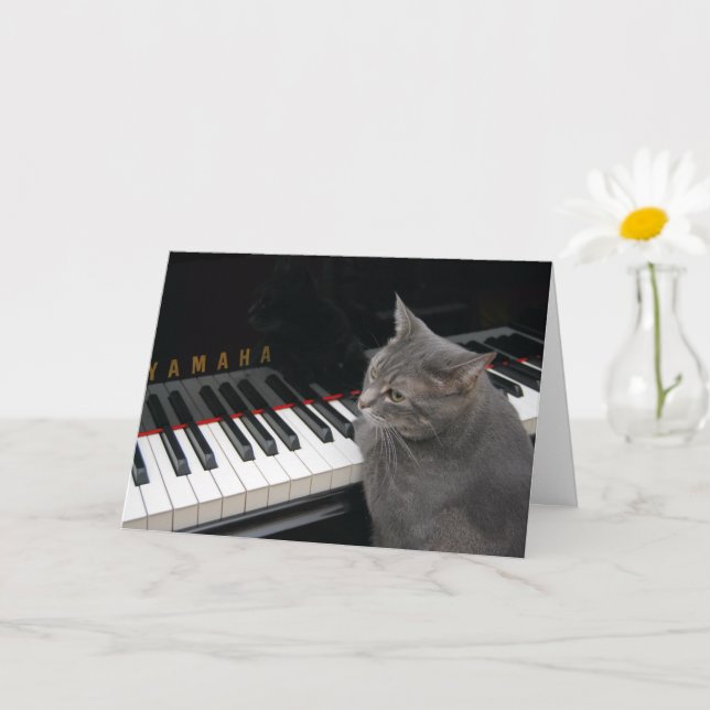 Nora El Gato Piano - Tarjeta plegada en blanco - E (Planta pequeña)